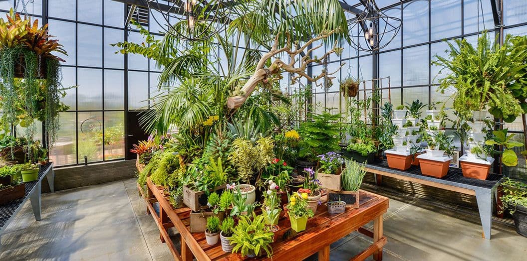 Greenhouse In Parasol Park