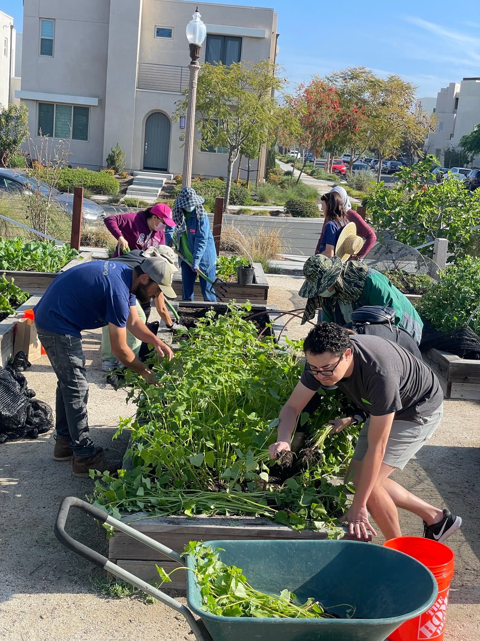 Neighborhood Garden Day at GPN