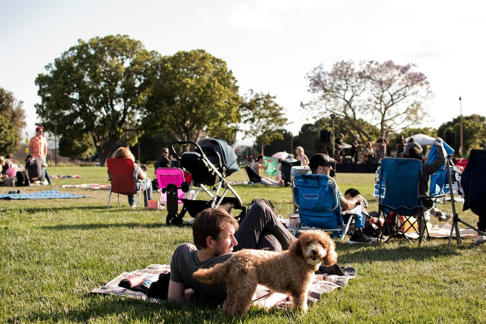 Bark in the Park