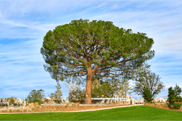Sustainability: Being Great by Going Green
